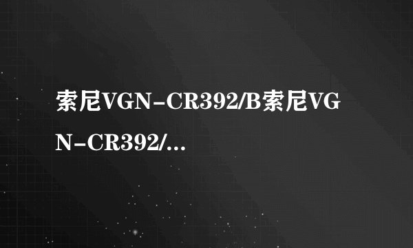 索尼VGN-CR392/B索尼VGN-CR392/B存储设备