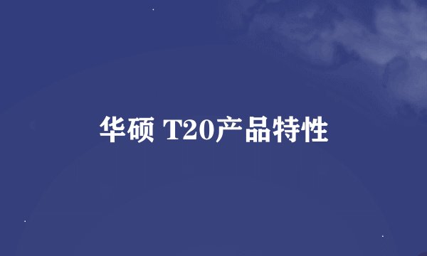 华硕 T20产品特性