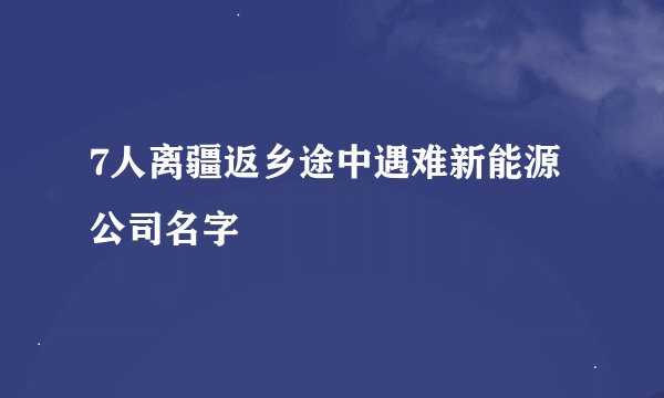 7人离疆返乡途中遇难新能源公司名字