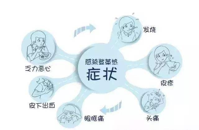 江苏句容出现1例登革热病例，如何预防登革热病毒？