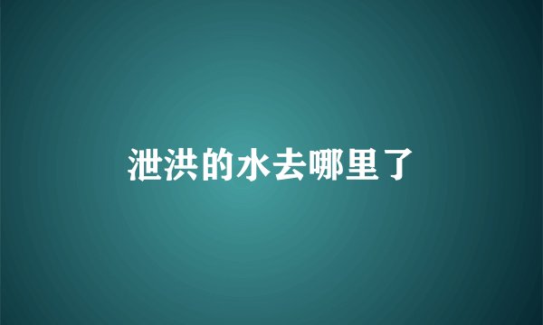 泄洪的水去哪里了