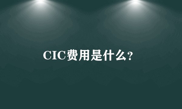 CIC费用是什么？