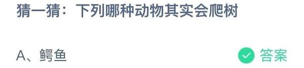 蚂蚁庄园：下列哪种动物其实会爬树