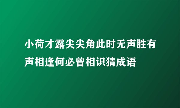 小荷才露尖尖角此时无声胜有声相逢何必曾相识猜成语