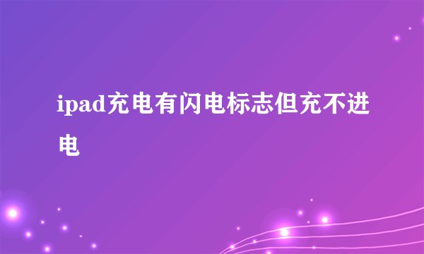 ipad充电有闪电标志但充不进电