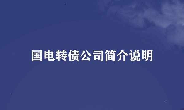 国电转债公司简介说明