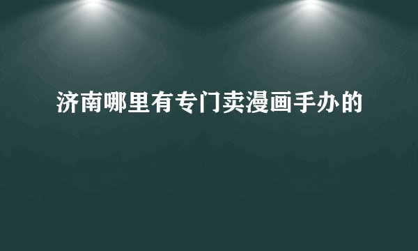 济南哪里有专门卖漫画手办的