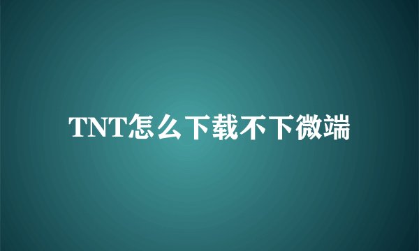 TNT怎么下载不下微端