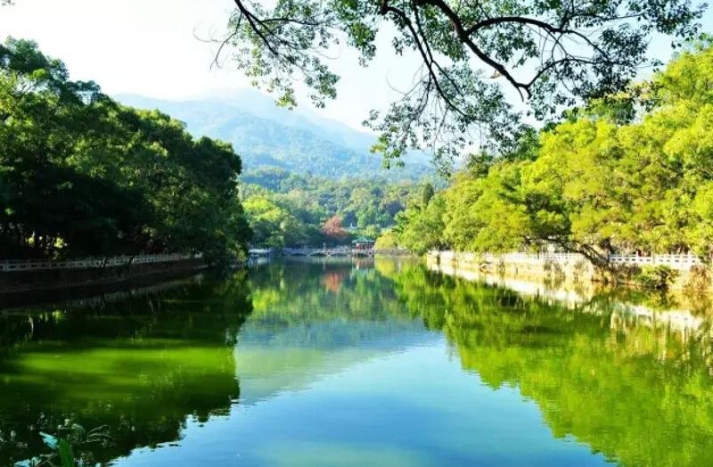 罗浮的含义
