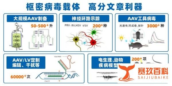【客户文章】利用跨单突触示踪技术重新定义下丘相关的神经环路