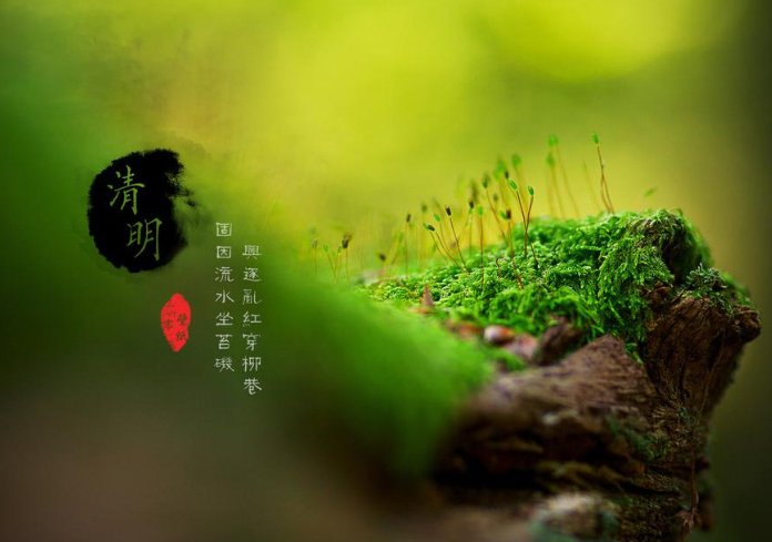 清明的图画怎么画简单又好看