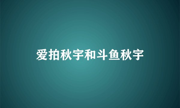 爱拍秋宇和斗鱼秋宇