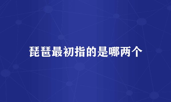 琵琶最初指的是哪两个