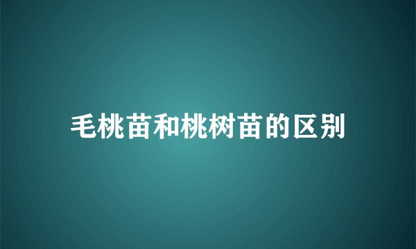 毛桃苗和桃树苗的区别