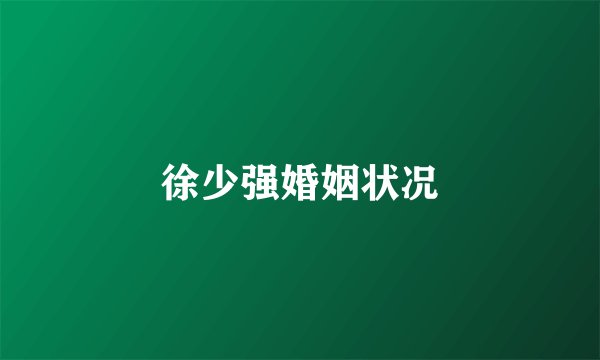 徐少强婚姻状况