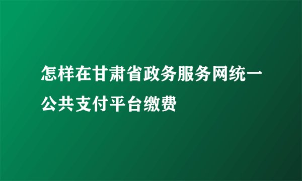 怎样在甘肃省政务服务网统一公共支付平台缴费