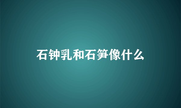 石钟乳和石笋像什么