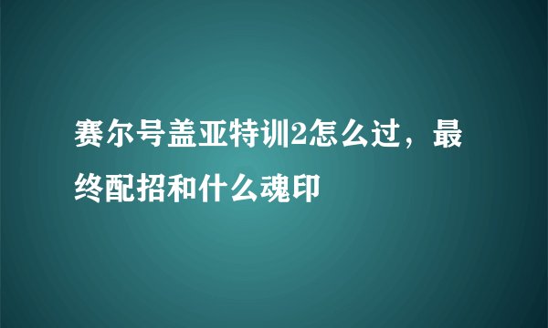 赛尔号盖亚特训2怎么过，最终配招和什么魂印