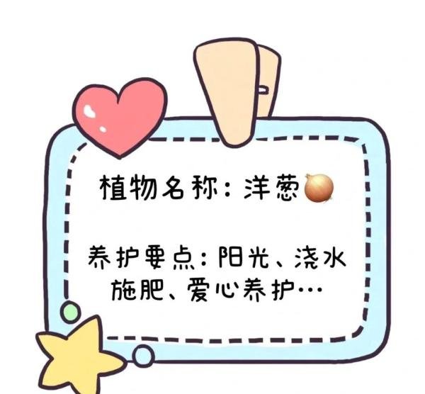 棒的幼儿园动植物角植物名称牌、可打印直接使用！看过的园长幼师都收藏了！