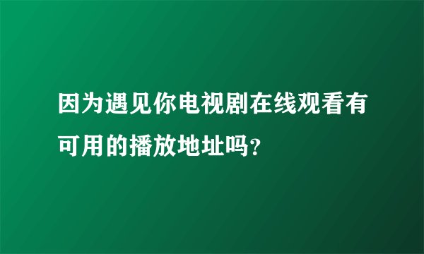 因为遇见你电视剧在线观看有可用的播放地址吗?