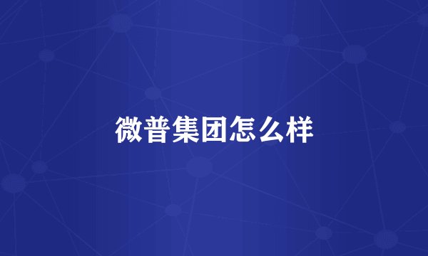 微普集团怎么样