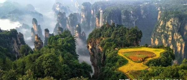 张家界国家森林公园5个门票站从那个进比较好，张家界森林公园怎么游玩