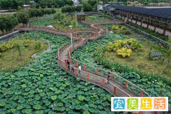 农业观光园规划设计怎么做