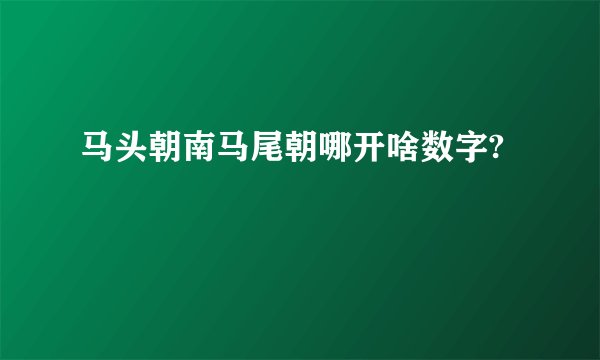 马头朝南马尾朝哪开啥数字?