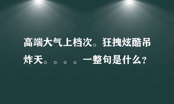 高端大气上档次。狂拽炫酷吊炸天。。。。一整句是什么？