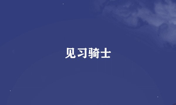见习骑士