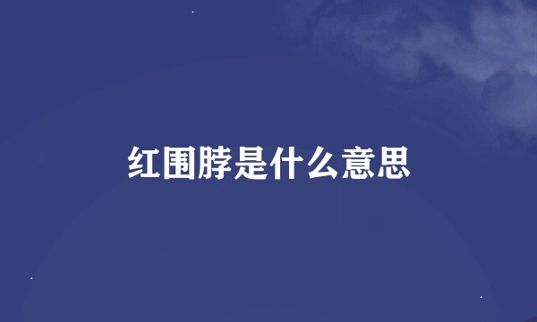 红围脖是什么意思