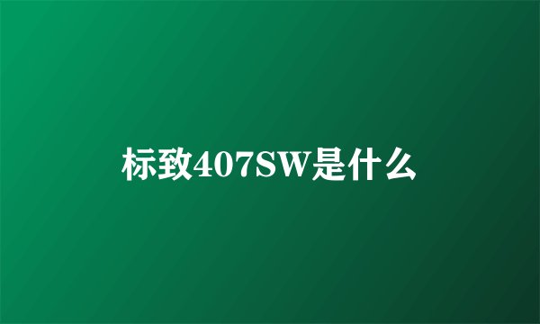 标致407SW是什么