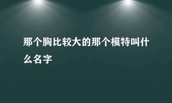 那个胸比较大的那个模特叫什么名字