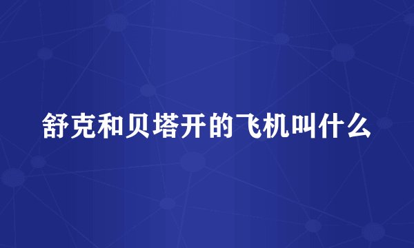 舒克和贝塔开的飞机叫什么