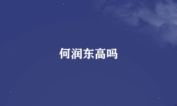 何润东高吗