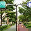 电影法国空姐2019完整版一共多少集