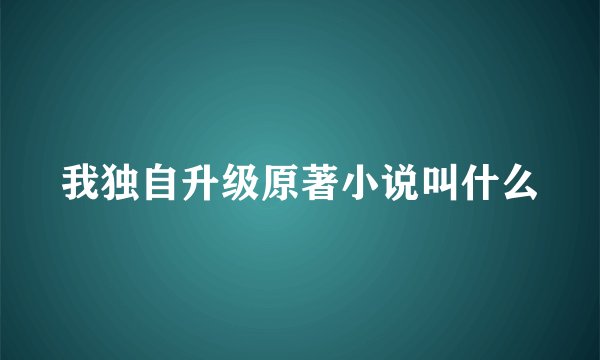 我独自升级原著小说叫什么