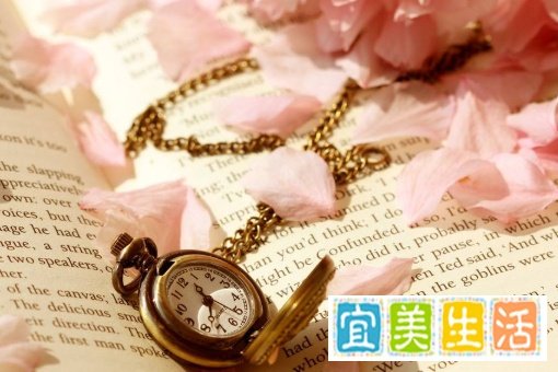 和“南来北往”相似的词