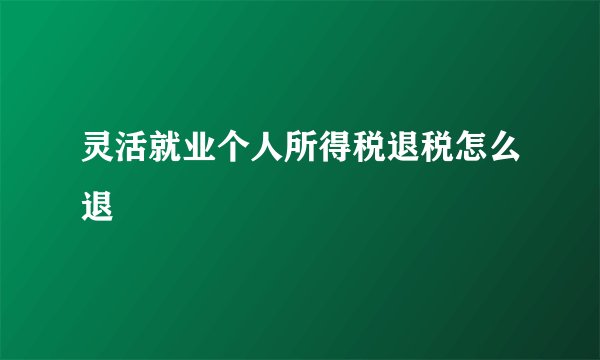灵活就业个人所得税退税怎么退