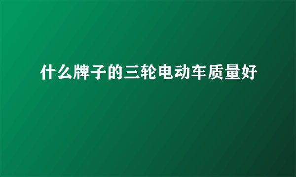 什么牌子的三轮电动车质量好
