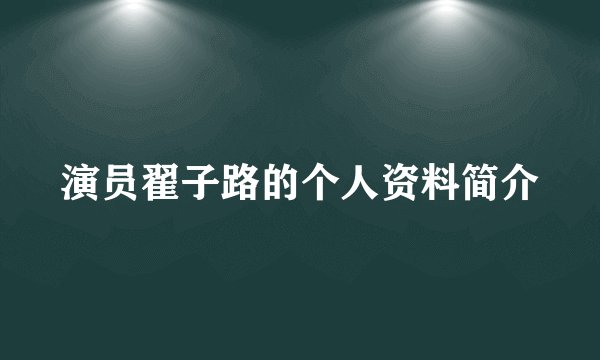 演员翟子路的个人资料简介