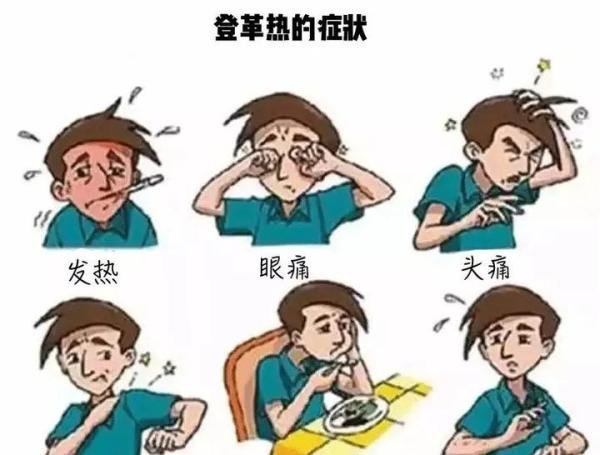 安徽确诊1例登革热病例!近期出现这些症状千万要小心!