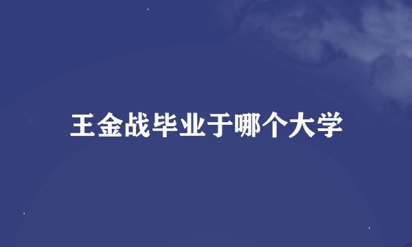 王金战毕业于哪个大学