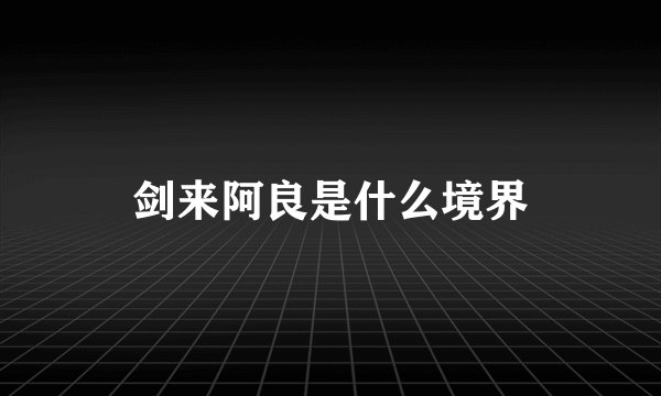 剑来阿良是什么境界