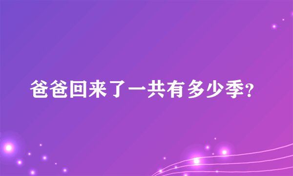 爸爸回来了一共有多少季？