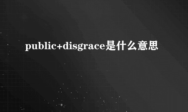 public+disgrace是什么意思