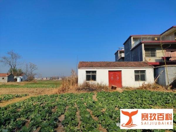 智障男子揣逃犯身份证被捕服刑9年 家人连续申诉八年,“智障男子抢劫案”启动再审