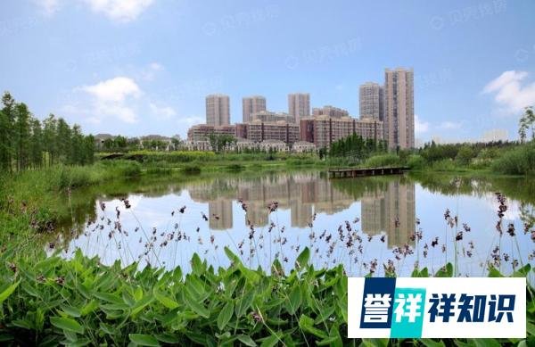 保利董事长宋广菊:这一生,完美!