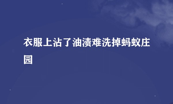 衣服上沾了油渍难洗掉蚂蚁庄园