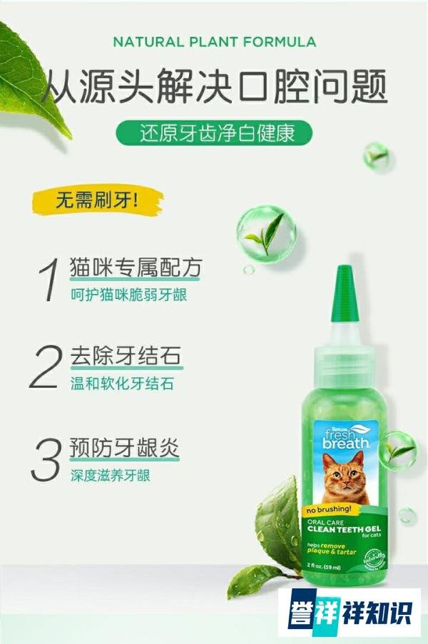 犬猫洁牙产品测评:多美洁洁齿凝胶